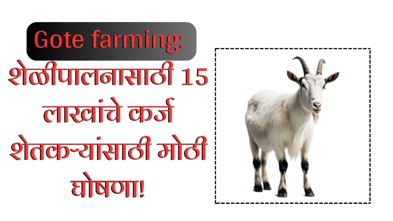 Gote farming: शेळीपालनासाठी 15 लाखांचे कर्ज शेतकऱ्यांसाठी मोठी घोषणा!