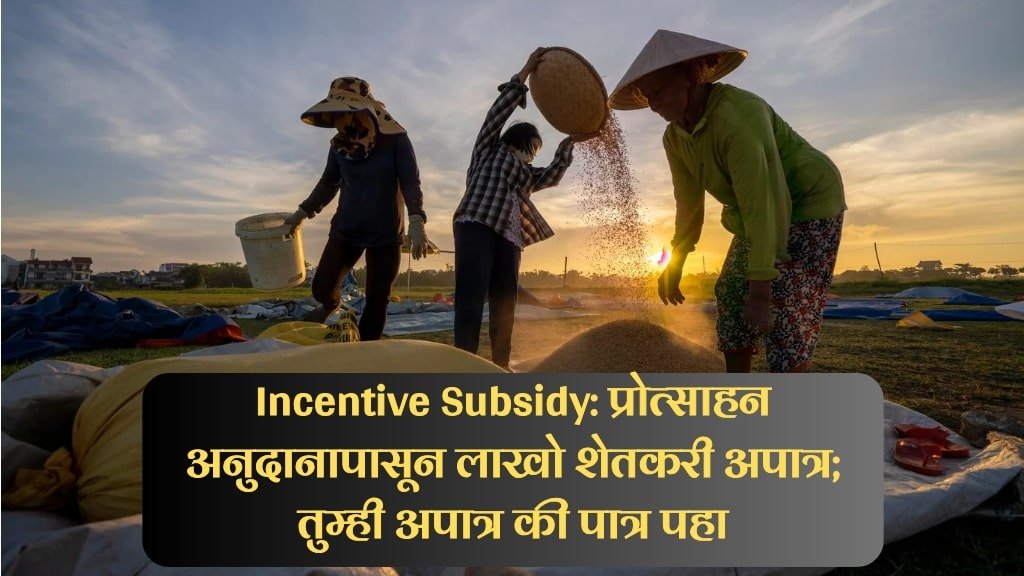 Incentive Subsidy: प्रोत्साहन अनुदानापासून लाखो शेतकरी अपात्र; तुम्ही अपात्र की पात्र पहा