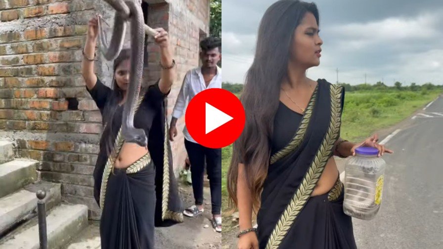 सुंदर मुलीने नाग पकडल्याचा व्हिडिओ होतोय तुफान व्हायरल, cobra viral video