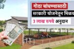 गोठा बांधण्यासाठी मिळत आहे 3 लाख रुपये पर्यंत अनुदान, असा करा अर्ज