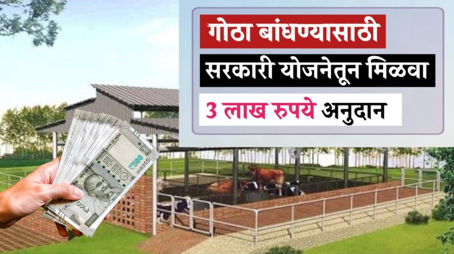 गोठा बांधण्यासाठी मिळत आहे 3 लाख रुपये पर्यंत अनुदान, असा करा अर्ज