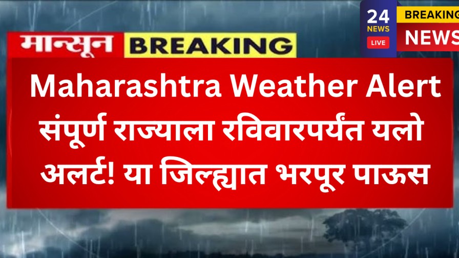Maharashtra Weather Alert: संपूर्ण राज्याला रविवारपर्यंत यलो अलर्ट! या जिल्ह्यात भरपूर पाऊस,